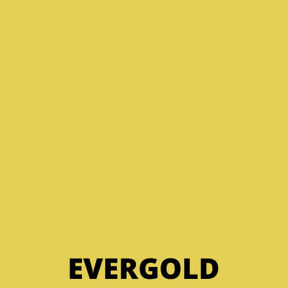 Dura-Rubber 1 Gallon.