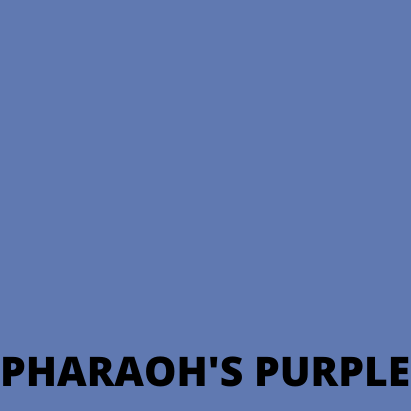 Dura-Rubber 1 Gallon.