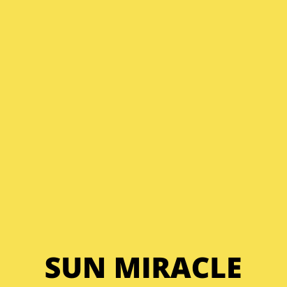 Dura-Rubber 1 Gallon.